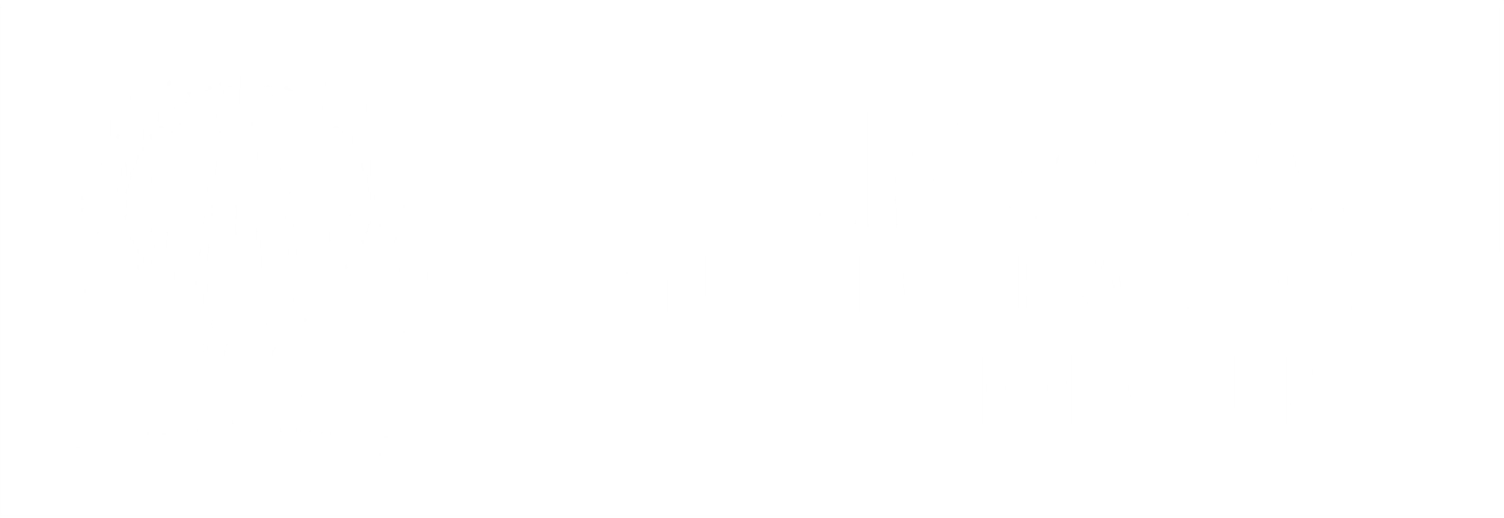 Câmara Municipal de Bonfinópolis